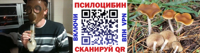 Псилоцибиновые грибы Magic Shrooms  Осташков 